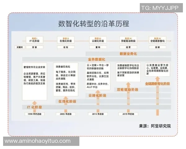 成都足球队运营革新探索:从传统模式到现代管理的转型之路 成都足球队运营革新探索:从传统模式到现代管理的转型之路