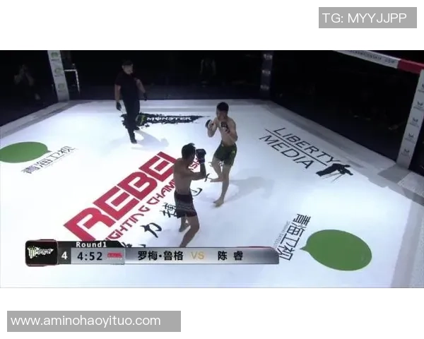 泰拳与足球的奇妙结合探索运动的极限与乐趣 泰拳与足球的奇妙结合探索运动的极限与乐趣