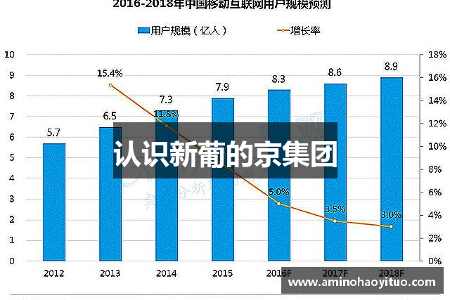 认识新葡的京集团